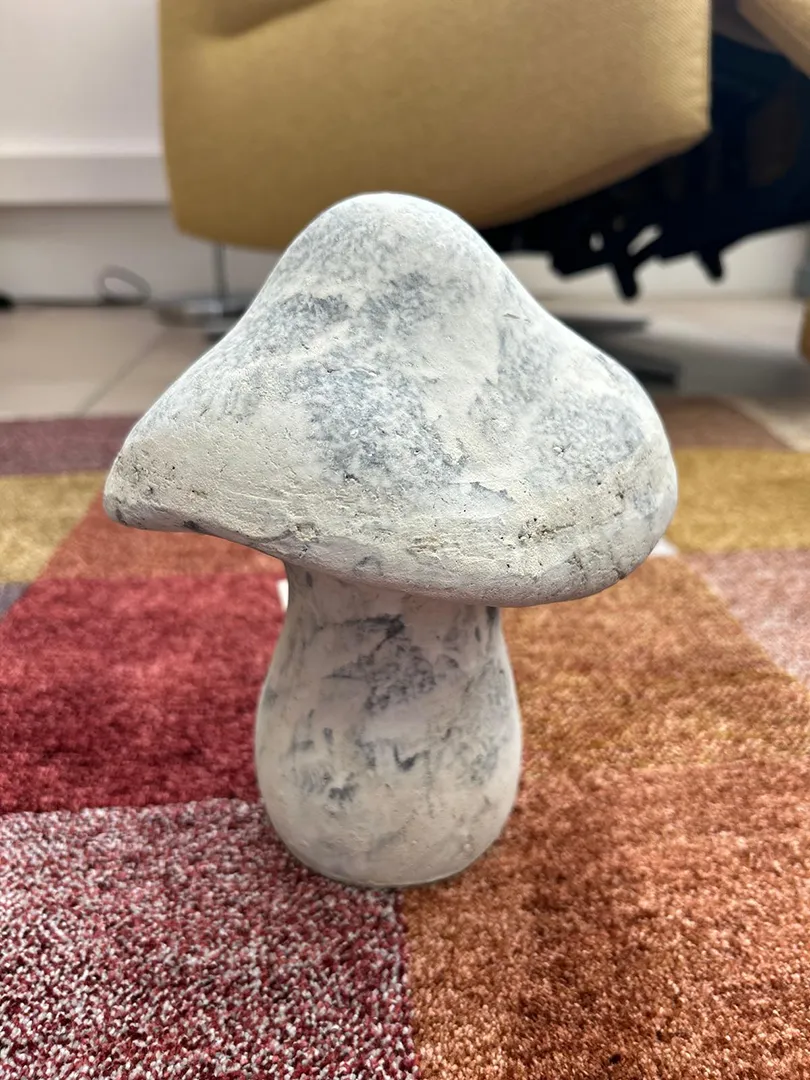Champignon pierre – Image 2