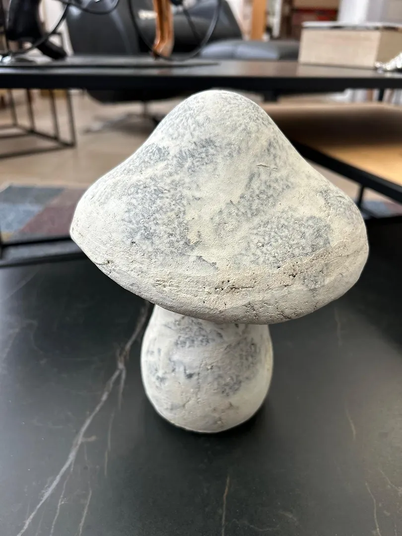 Champignon pierre – Image 3