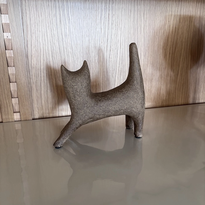 Chat marron