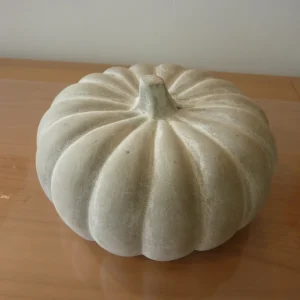 Citrouille pierre