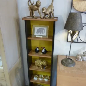 Colonne - bibliothèque moutarde et noire