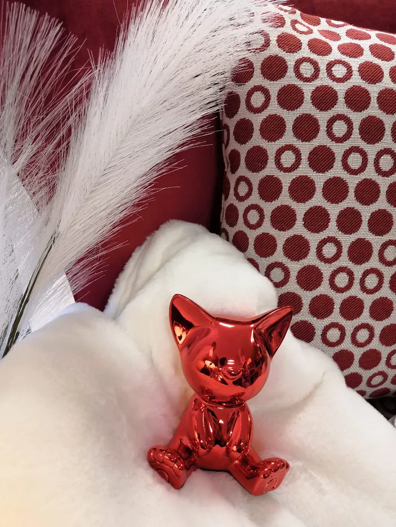 Chat Ruby rouge – Image 3