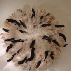 Décoration murale Plumes tricolores