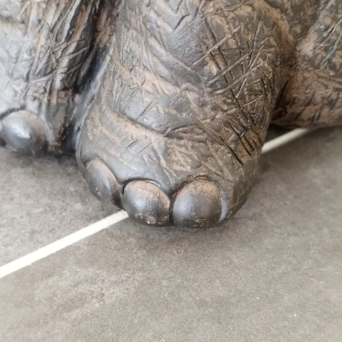 Eléphant assis – Image 4