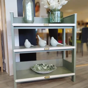Etagère d'ébéniste sauge