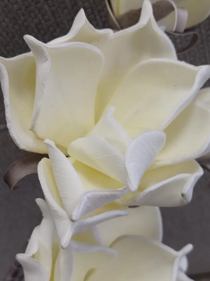 Fleur Rumba blanche – Image 2