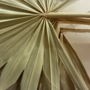 Fleur Palm