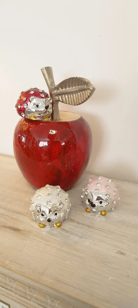 Hérisson rouge – Image 4