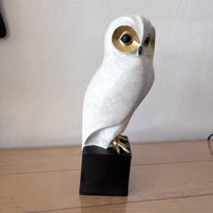 Hibou chouette blanche