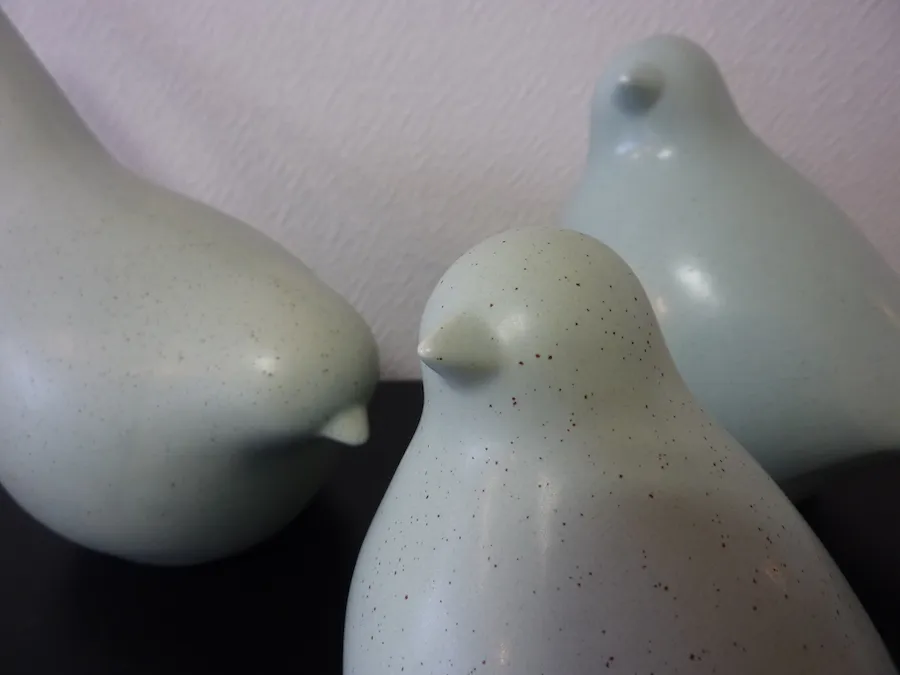 Moineau (grand) – Image 5