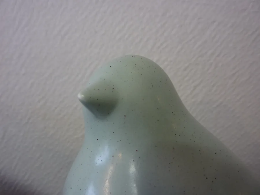 Moineau (grand) – Image 6