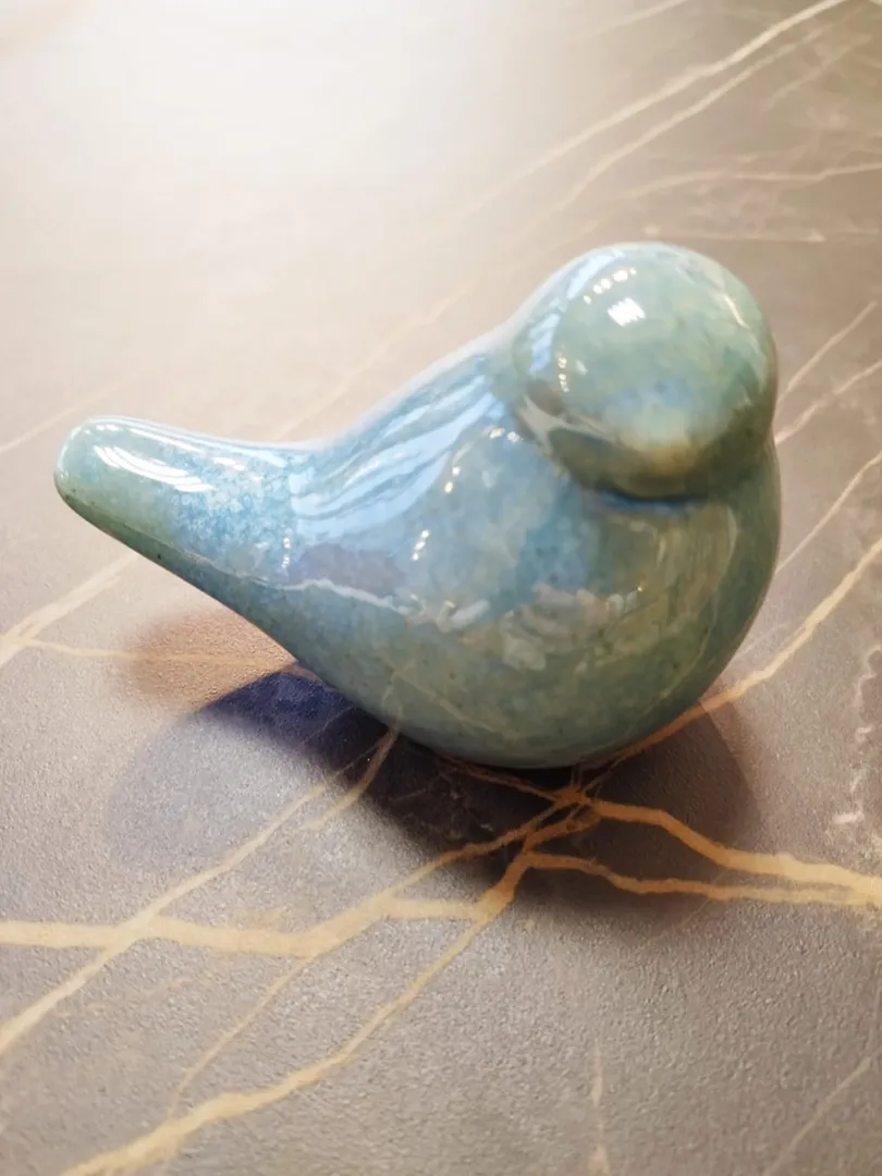 Oiseau Modra – Image 2