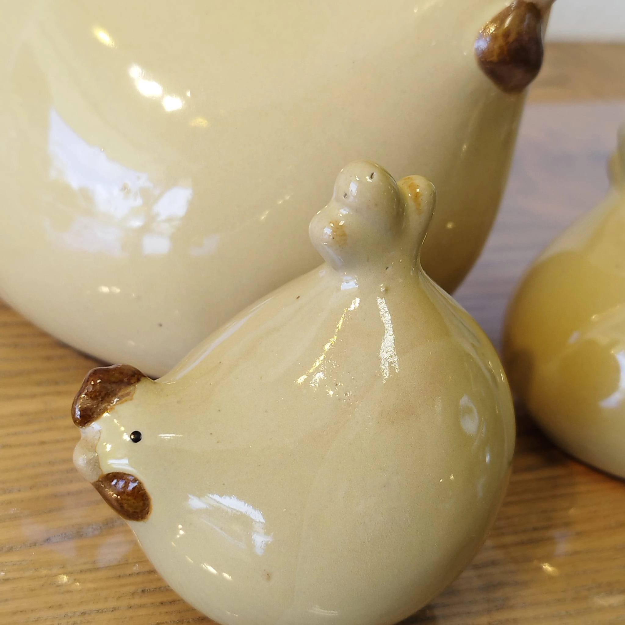 Poules ivoire
