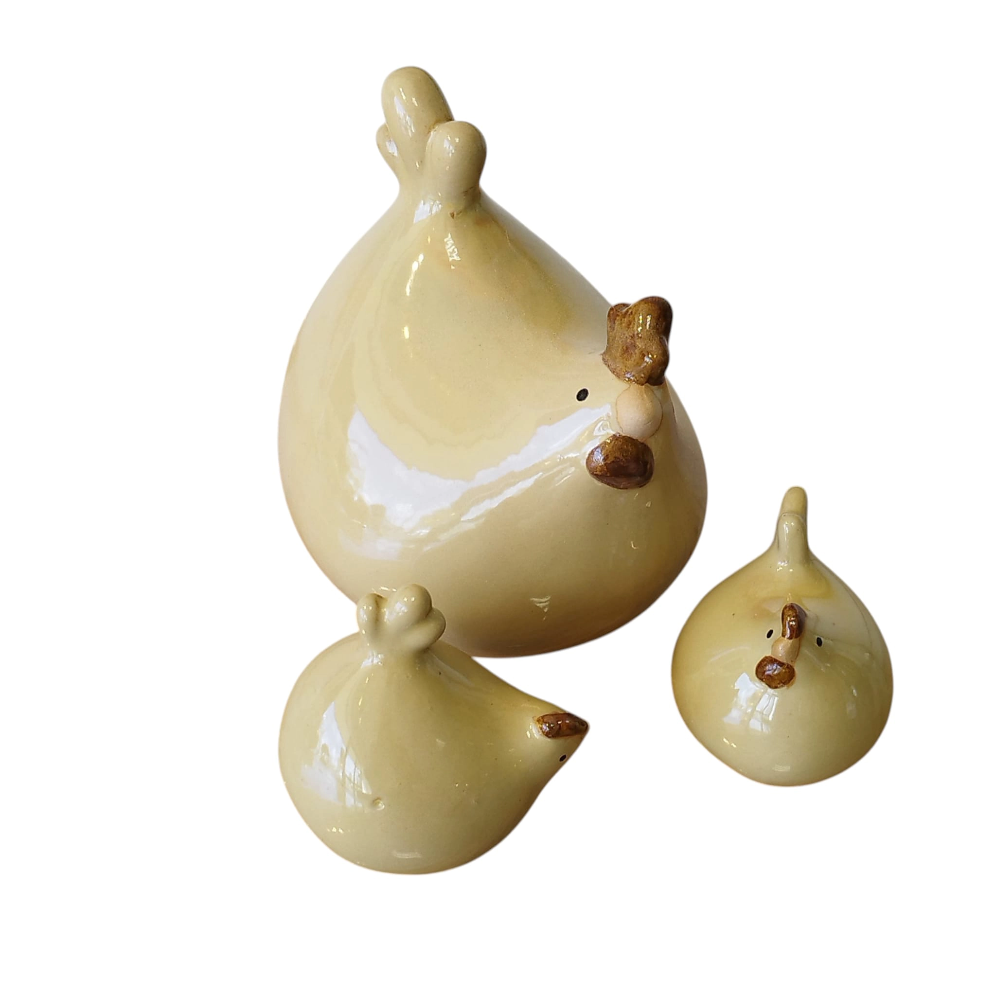 Poules ivoire – Image 2
