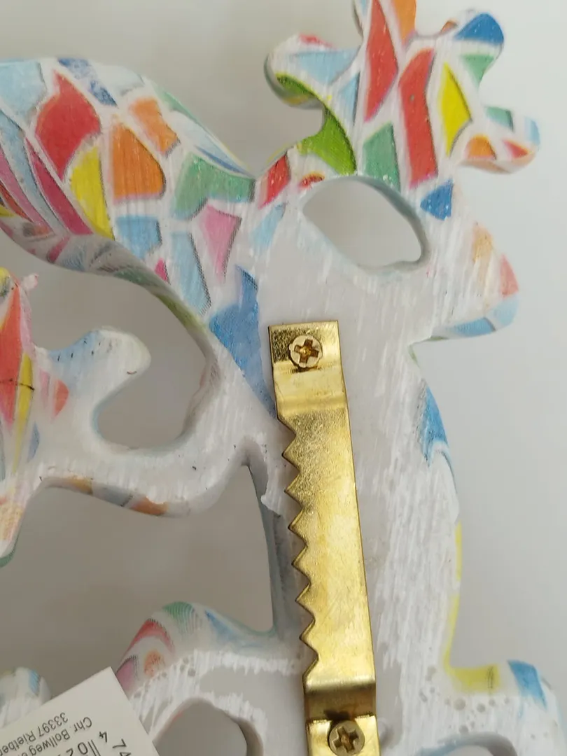 Lézard - Salamandre Colorée – Image 15