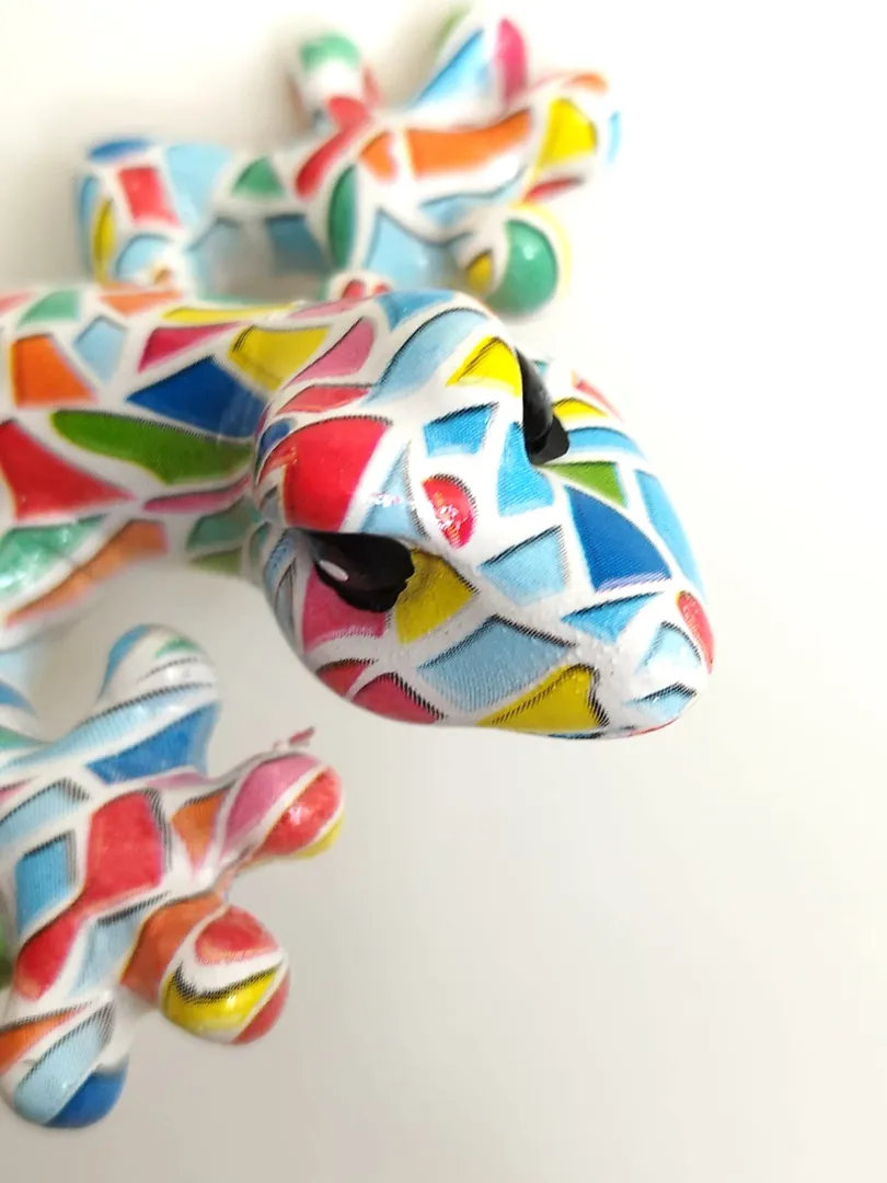 Lézard - Salamandre Colorée – Image 12