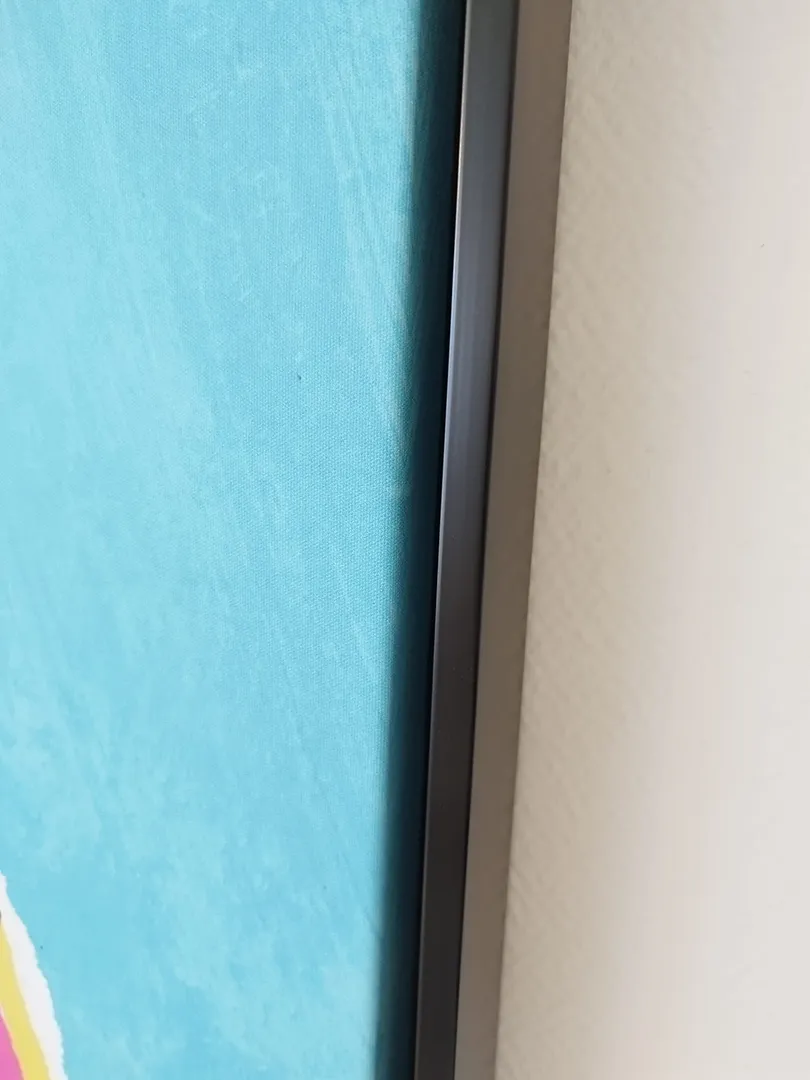 Tableau Durkan le zèbre – Image 4