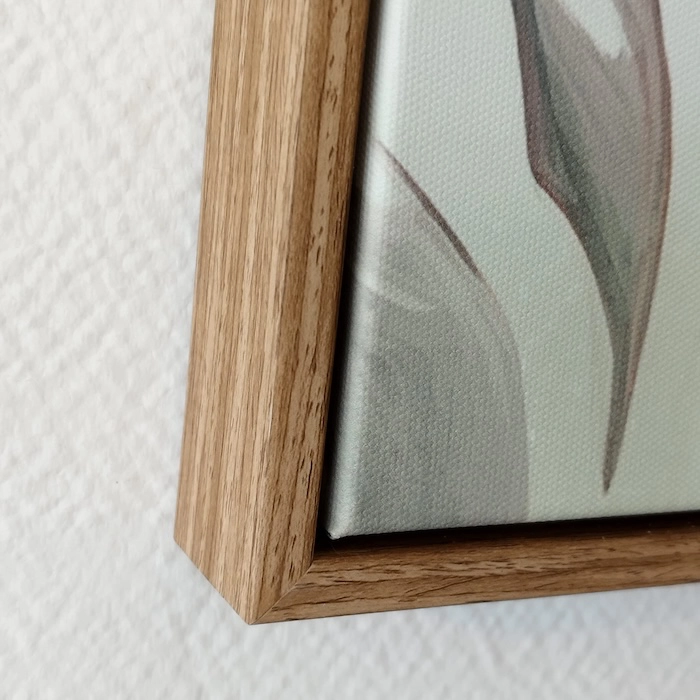 Tableau Oiseaux tropicaux