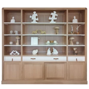 Bibliothèque-vitrine