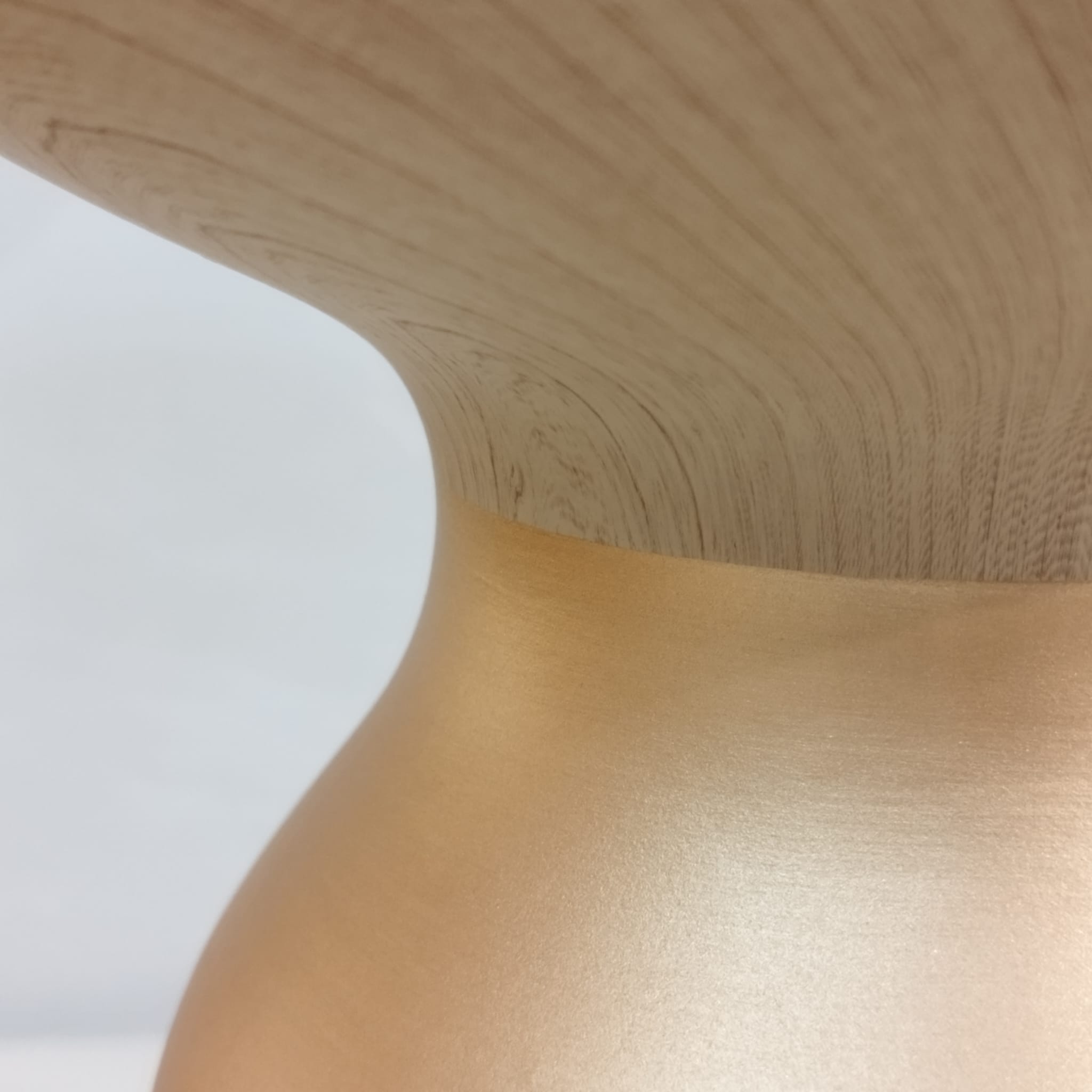 Vase Bois or champignon – Image 5