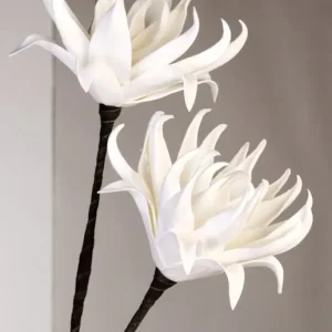 Fleur Magnolia blanche